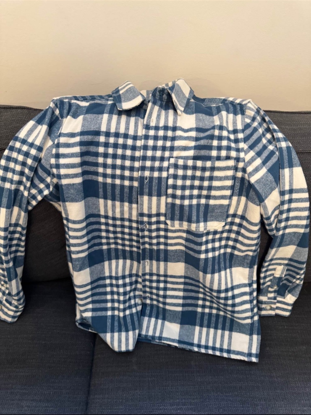 Men's Zara Blue and White Plaid Button-Up Shirt